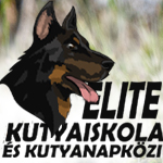 Elite kutyaiskola és kutyanapközi 