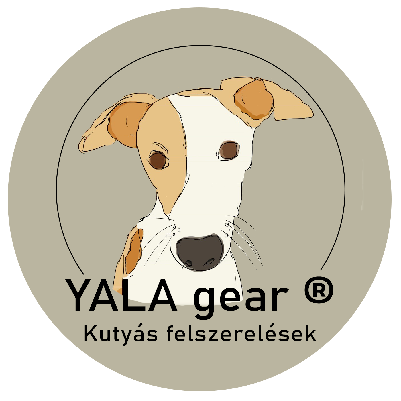 YALA gear
