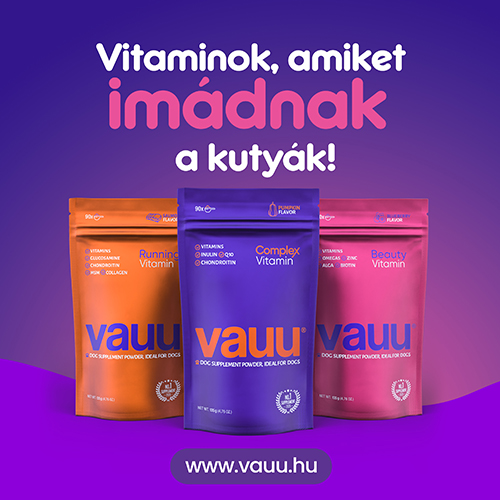 Vauu