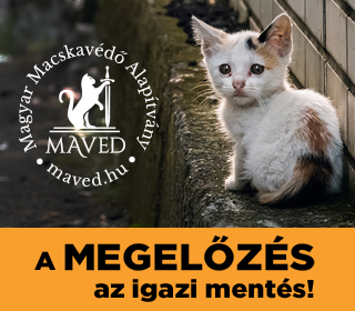 Magyar Macskavédő Alapítvány