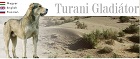 Turáni Gladiátor közép ázsiai juhászkutya kennel