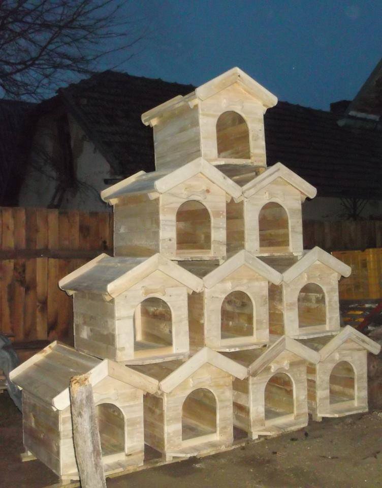 kutyaház