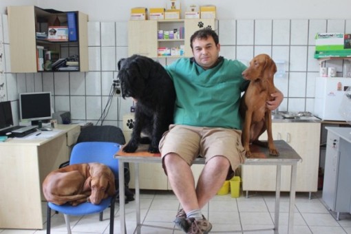 A kolozsvári kutyapszichológus, aki a hiperagresszív kutyákat is megszelídíti