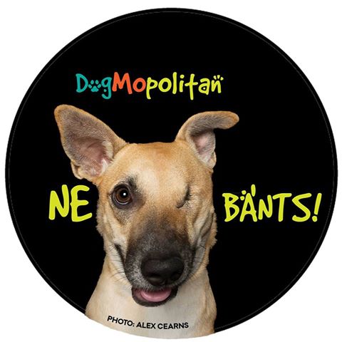 Dogmopolitan Jótékonysági Kutyafesztivál - Indul a &quot;Ne bánts&quot; kampány! 2018.07.21. Bókay-kert