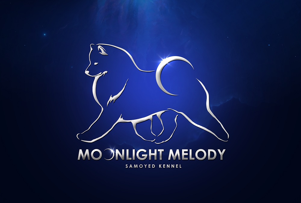 Moonlight Melody Samoyed Kennel