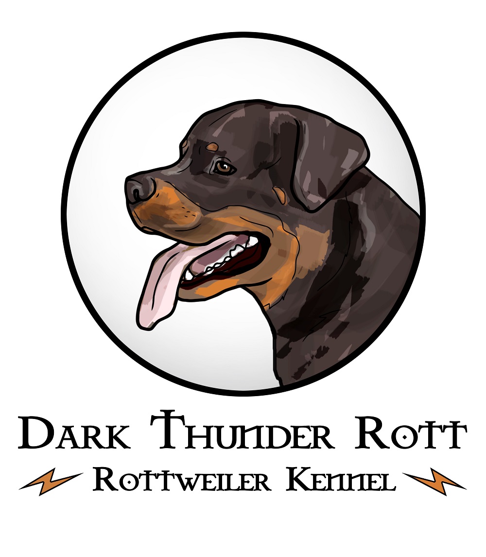 Dark Thunder Rott rottweiler kennel