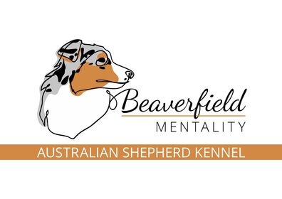 Beaverfield Mentality Ausztrál juhászkutya kennel