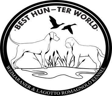 Best Hunter World Kennel Weimaraner & Lagotto Romagnolo