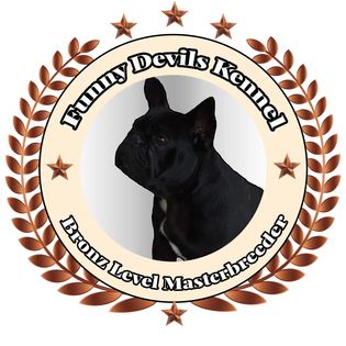 Funny Devils Francia Bulldog kennel