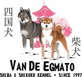 Shiba & Shikoku kennel v.d Egmato Since 1997