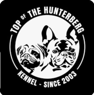 Top of the Hunterberg Francia bulldog és mopsz kennel