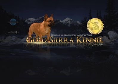 Gold-Sierra french bulldog kennel