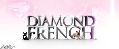 Diamond French Kennel