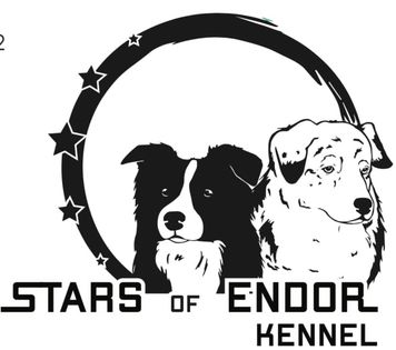 Stars of Endor kennel, border collie és aussie kennel