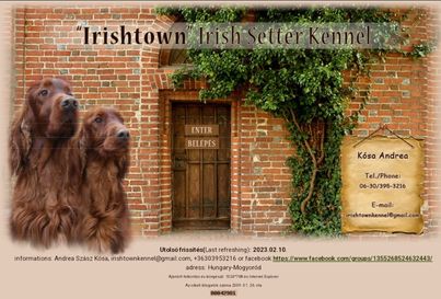 Irishtown kennel