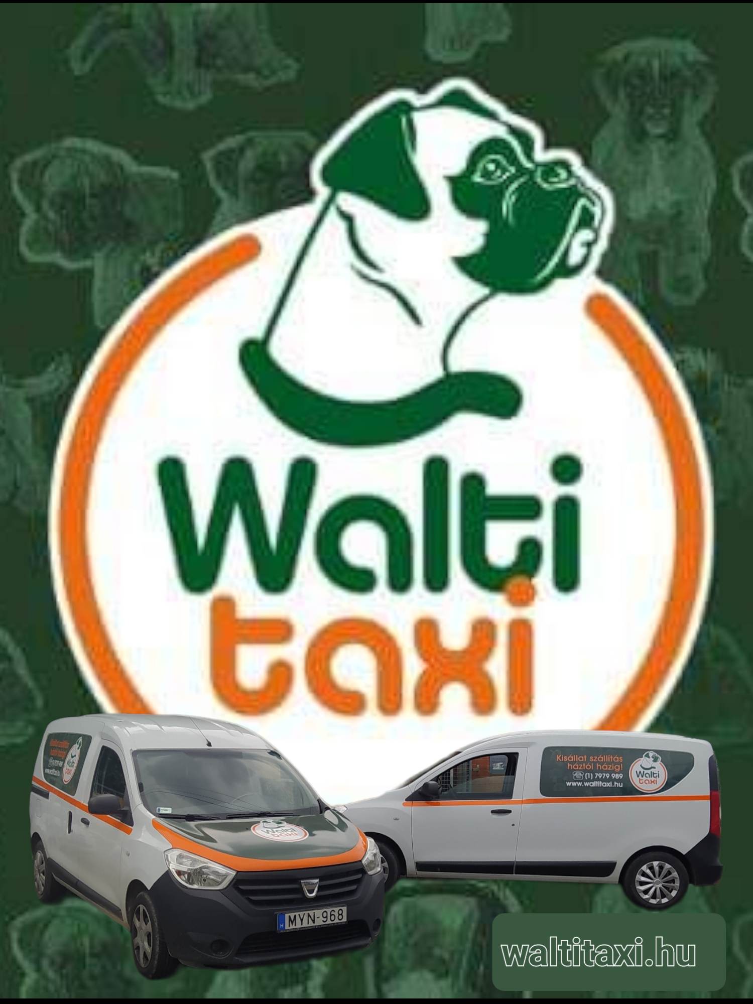 Walti Taxi