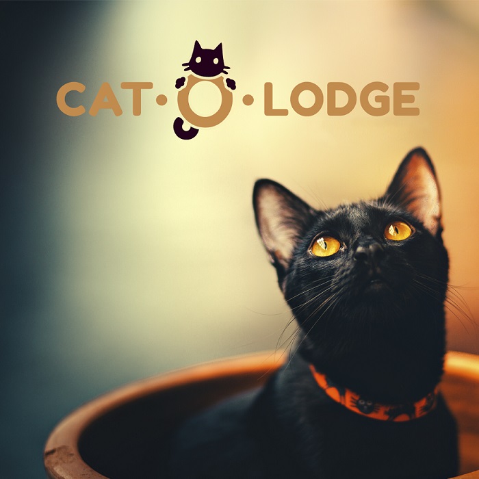Cat-O-Lodge Cicapanziók