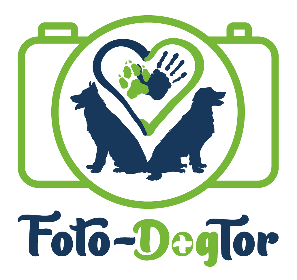 fotodogtor_logo.png