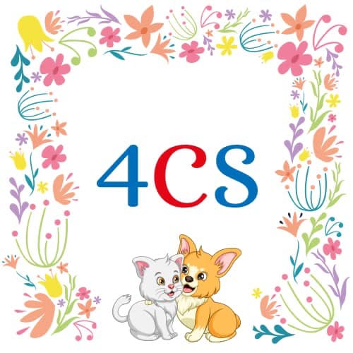 4CS