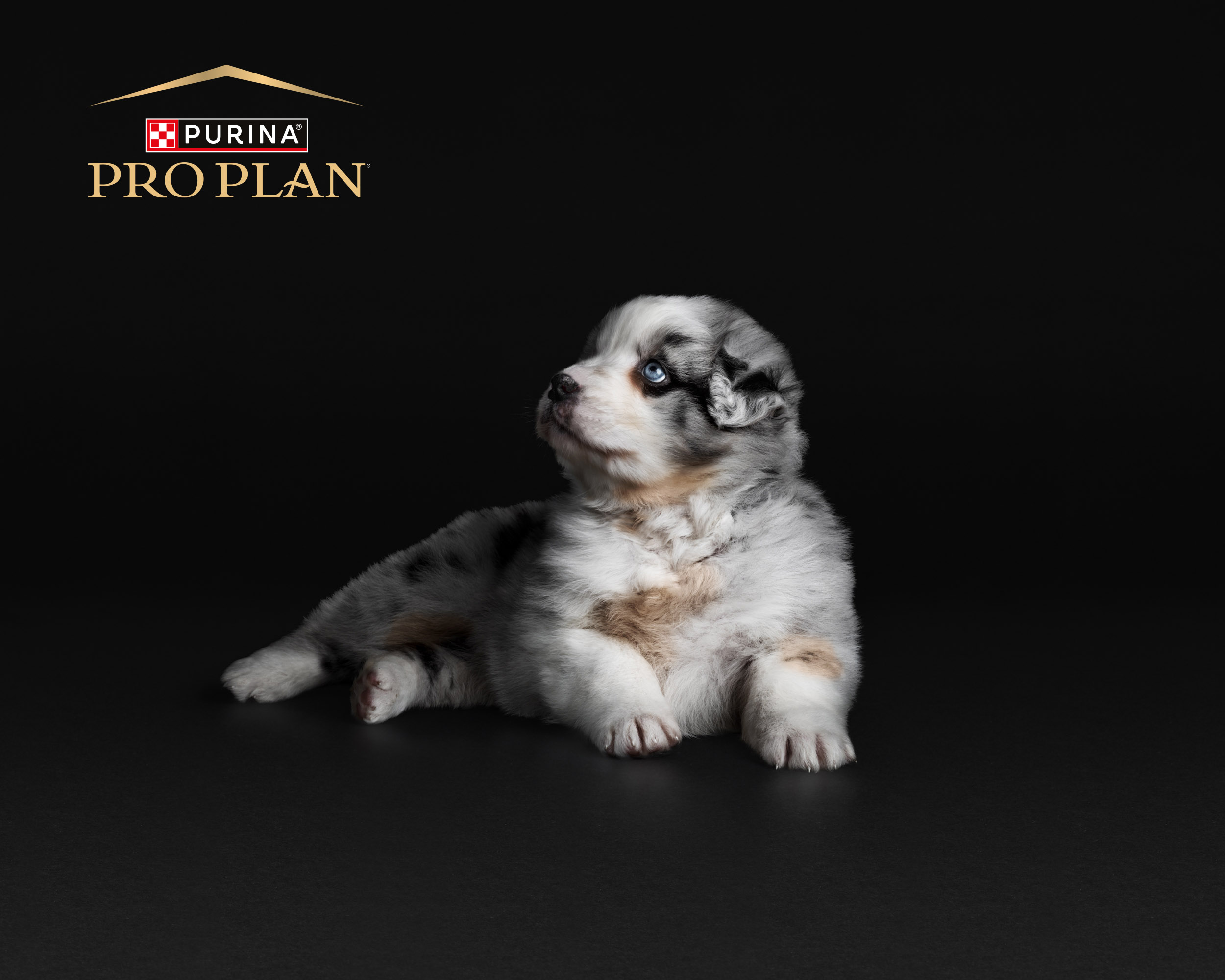 proplan