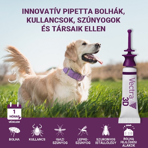 Fürödhet vagy úszhat a kutyám a VECTRA® 3D alkalmazása után?