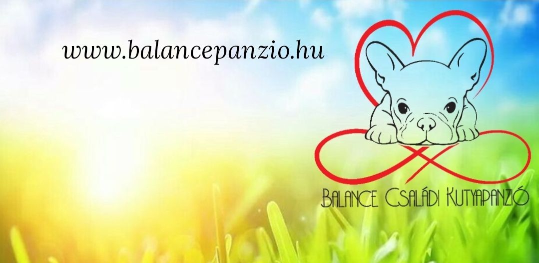 Balance Családi Kutyapanzió