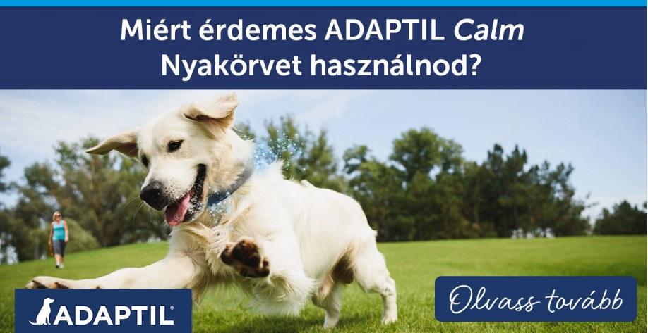 Miért érdemes ADAPTIL Calm Nyakörvet használnod?